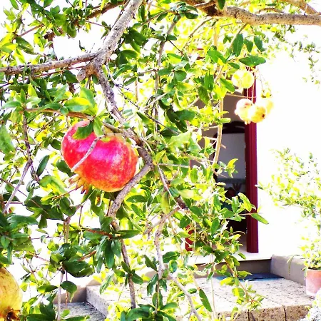 Ghezzi Sea View Villa